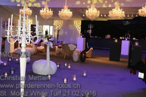 IMG 7934 prot